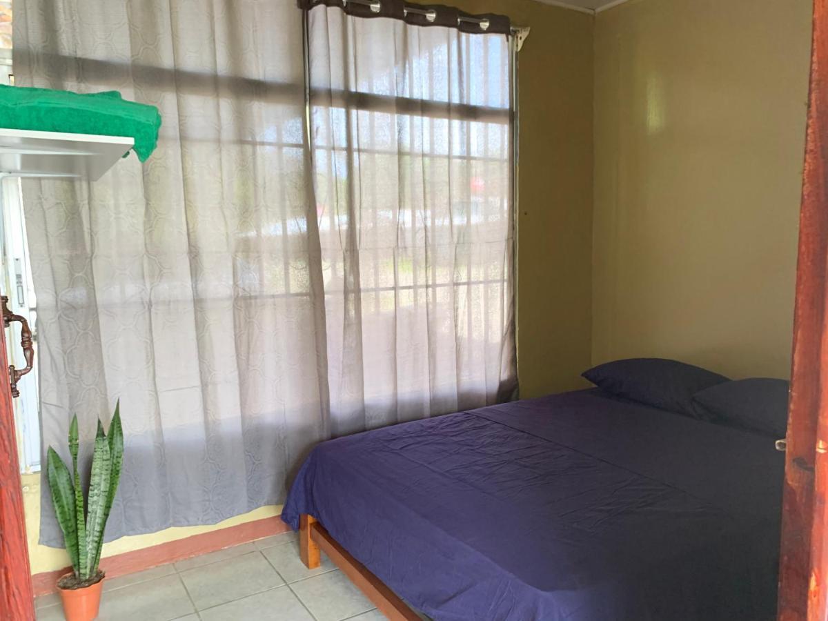 Puerto Jiménez Blue House旅馆 外观 照片